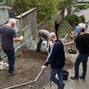 Neue Blumenwiese bei der Treppe Höhenstrasse – obere Lauistrasse